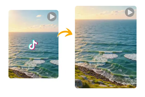 Remove TikTok Watermarks Instantly 
